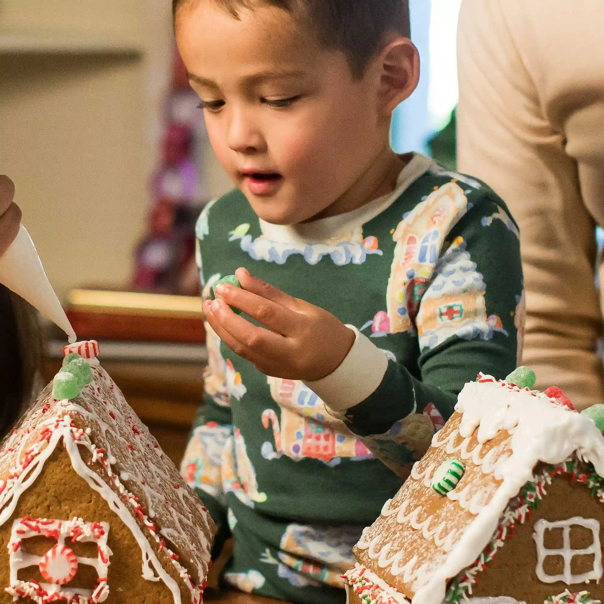 Gingerbread Houses Family Matching Pet Bandana